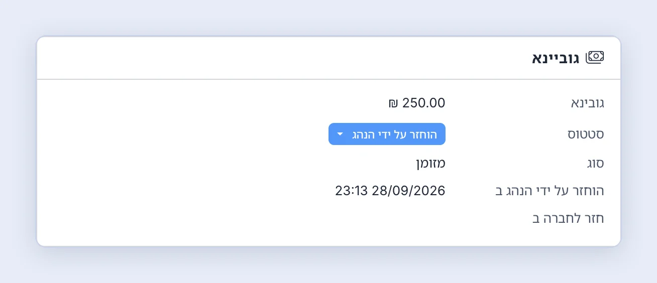 צילום מסך: פרטי הגוביינא בעמוד המשלוח