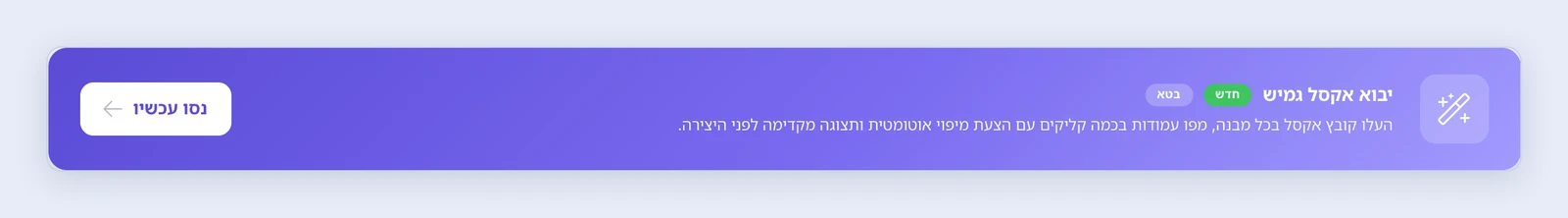 צילום מסך: הכרטיס יבוא אקסל גמיש בעמוד היבוא